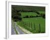 Scenic Dirt Road with Wildflowers, County Cork, Ireland-Marilyn Parver-Framed Photographic Print