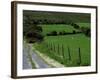 Scenic Dirt Road with Wildflowers, County Cork, Ireland-Marilyn Parver-Framed Photographic Print