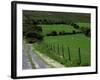 Scenic Dirt Road with Wildflowers, County Cork, Ireland-Marilyn Parver-Framed Photographic Print