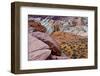 Scenic Drive White Domes Trail, Valley of Fire State Park, Nevada, USA.-Michel Hersen-Framed Photographic Print