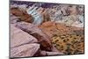 Scenic Drive White Domes Trail, Valley of Fire State Park, Nevada, USA.-Michel Hersen-Mounted Photographic Print