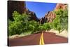 Scenic Drive - Zion National Park - Utah - United States-Philippe Hugonnard-Stretched Canvas