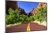 Scenic Drive - Zion National Park - Utah - United States-Philippe Hugonnard-Mounted Photographic Print