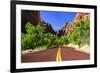 Scenic Drive - Zion National Park - Utah - United States-Philippe Hugonnard-Framed Photographic Print