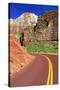 Scenic Drive - Zion National Park - Utah - United States-Philippe Hugonnard-Stretched Canvas