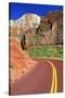 Scenic Drive - Zion National Park - Utah - United States-Philippe Hugonnard-Stretched Canvas