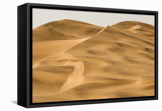 Scenic Dune View-null-Framed Stretched Canvas