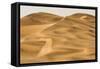 Scenic Dune View-null-Framed Stretched Canvas