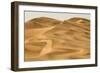 Scenic Dune View-null-Framed Photographic Print