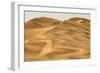 Scenic Dune View-null-Framed Photographic Print