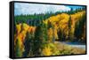 Scenic Fall Colorado Road-duallogic-Framed Stretched Canvas