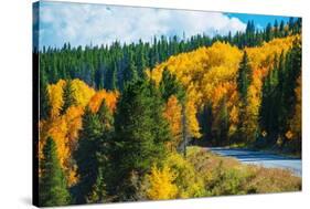 Scenic Fall Colorado Road-duallogic-Stretched Canvas