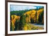 Scenic Fall Colorado Road-duallogic-Framed Photographic Print