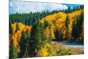 Scenic Fall Colorado Road-duallogic-Mounted Photographic Print