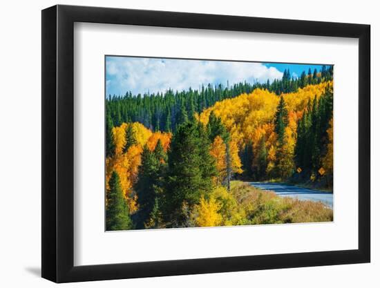 Scenic Fall Colorado Road-duallogic-Framed Photographic Print