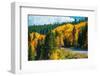 Scenic Fall Colorado Road-duallogic-Framed Photographic Print