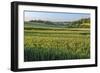 Scenic field, Vexin Region, Normandy, France-Lisa S. Engelbrecht-Framed Photographic Print