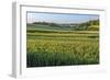 Scenic field, Vexin Region, Normandy, France-Lisa S. Engelbrecht-Framed Photographic Print