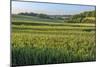 Scenic field, Vexin Region, Normandy, France-Lisa S. Engelbrecht-Mounted Photographic Print