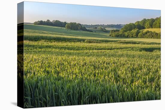 Scenic field, Vexin Region, Normandy, France-Lisa S. Engelbrecht-Stretched Canvas