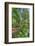 scenic garden, Pinehurst, North Carolina-Lisa Engelbrecht-Framed Photographic Print