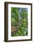 scenic garden, Pinehurst, North Carolina-Lisa Engelbrecht-Framed Photographic Print