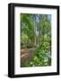 scenic garden, Pinehurst, North Carolina-Lisa Engelbrecht-Framed Photographic Print