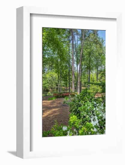 scenic garden, Pinehurst, North Carolina-Lisa Engelbrecht-Framed Photographic Print