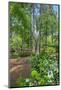 scenic garden, Pinehurst, North Carolina-Lisa Engelbrecht-Mounted Photographic Print