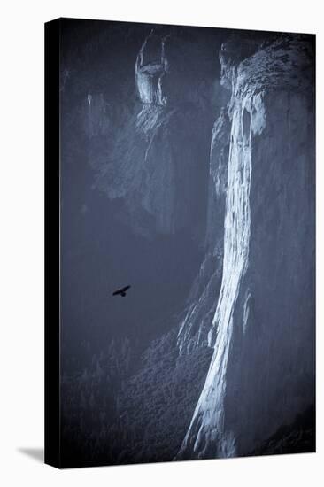 Scenic Image of El Capitan with Raven in Yosemite National Park, California-Justin Bailie-Stretched Canvas