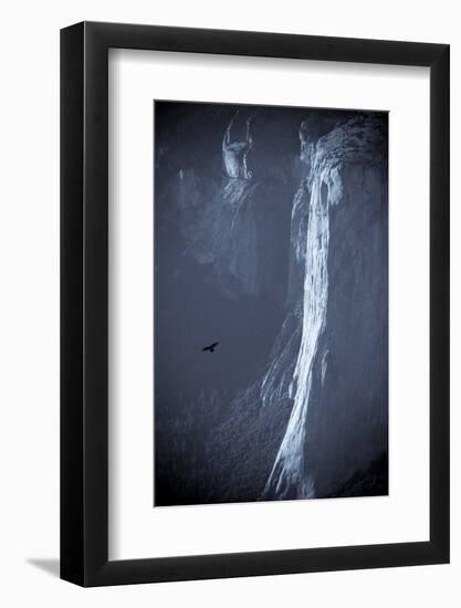 Scenic Image of El Capitan with Raven in Yosemite National Park, California-Justin Bailie-Framed Photographic Print