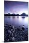 Scenic Image Of Jackson Lake In Grand Teton National Park, WY-Justin Bailie-Mounted Photographic Print