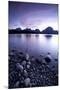 Scenic Image Of Jackson Lake In Grand Teton National Park, WY-Justin Bailie-Mounted Premium Photographic Print