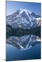 Scenic Image of Mt. Rainier National Park, Washington-Justin Bailie-Mounted Photographic Print