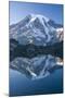 Scenic Image of Mt. Rainier National Park, Washington-Justin Bailie-Mounted Photographic Print