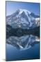 Scenic Image of Mt. Rainier National Park, Washington-Justin Bailie-Mounted Photographic Print