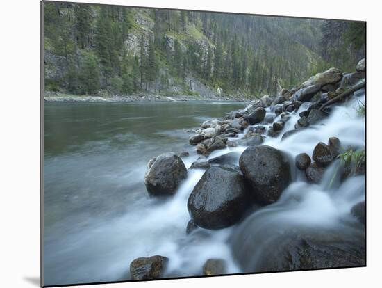 Scenic Image of Salmon River, Idaho.-Justin Bailie-Mounted Photographic Print