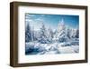Scenic Image of Spruces Tree. Frosty Day, Calm Wintry Scene. Location Carpathian, Ukraine Europe. S-Creative Travel Projects-Framed Photographic Print