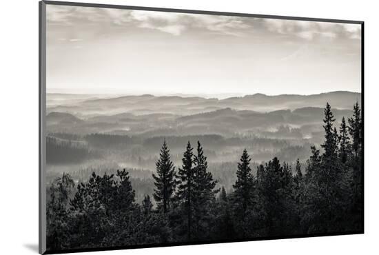 Photo, , large