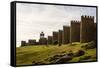 Scenic Medieval City Walls of Avila, Spain, Unesco List-perszing1982-Framed Stretched Canvas