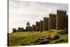 Scenic Medieval City Walls of Avila, Spain, Unesco List-perszing1982-Stretched Canvas