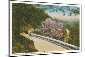 Scenic Mountain Road, Roanoke, Virginia-null-Mounted Art Print