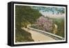 Scenic Mountain Road, Roanoke, Virginia-null-Framed Stretched Canvas