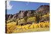 Scenic near Telluride, Uncompahgre National Forest, Colorado-Donyanedomam-Stretched Canvas