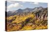 Scenic near Telluride, Uncompahgre National Forest, Colorado-Donyanedomam-Stretched Canvas