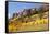 Scenic near Telluride, Uncompahgre National Forest, Colorado-Donyanedomam-Framed Stretched Canvas