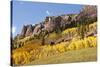 Scenic near Telluride, Uncompahgre National Forest, Colorado-Donyanedomam-Stretched Canvas