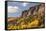 Scenic near Telluride, Uncompahgre National Forest, Colorado-Donyanedomam-Framed Stretched Canvas