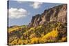 Scenic near Telluride, Uncompahgre National Forest, Colorado-Donyanedomam-Stretched Canvas