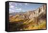 Scenic near Telluride, Uncompahgre National Forest, Colorado-Donyanedomam-Framed Stretched Canvas